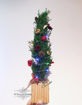 圖片 Christmas Workshop (E) - 日本保鮮花Preserved flower 聖誕樹班