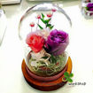圖片 Preserved Flower 保鮮花系列～圓型玻璃瓶戒指座班