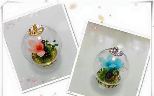 圖片 Preserved Flower 保鮮花系列～玻璃吊咀頸鍊班B-(粉藍/香檳色小星花少有款式）
