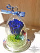 圖片 Preserved Flower 保鮮花系列 - 紅色玫瑰心型頂玻璃瓶