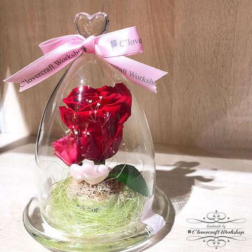 圖片 Preserved Flower 保鮮花系列 - 紅色玫瑰心型頂玻璃瓶