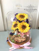 圖片 Preserved Flower保鮮太陽花