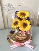 圖片 Preserved Flower保鮮太陽花