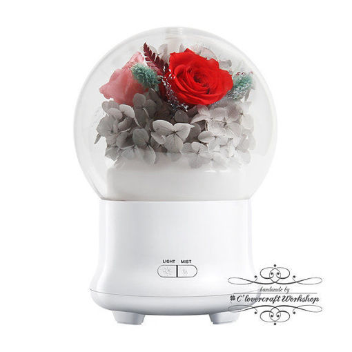 圖片 Valentine's Day 情人節新設計產品 - 保鮮花香薰加濕機