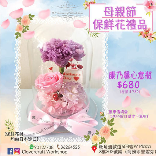 圖片 康乃馨心意瓶