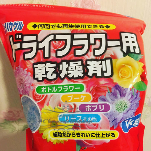 圖片 日本乾燥沙